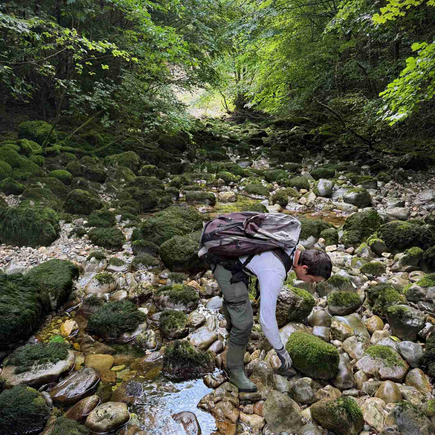 Exploration du Toleure