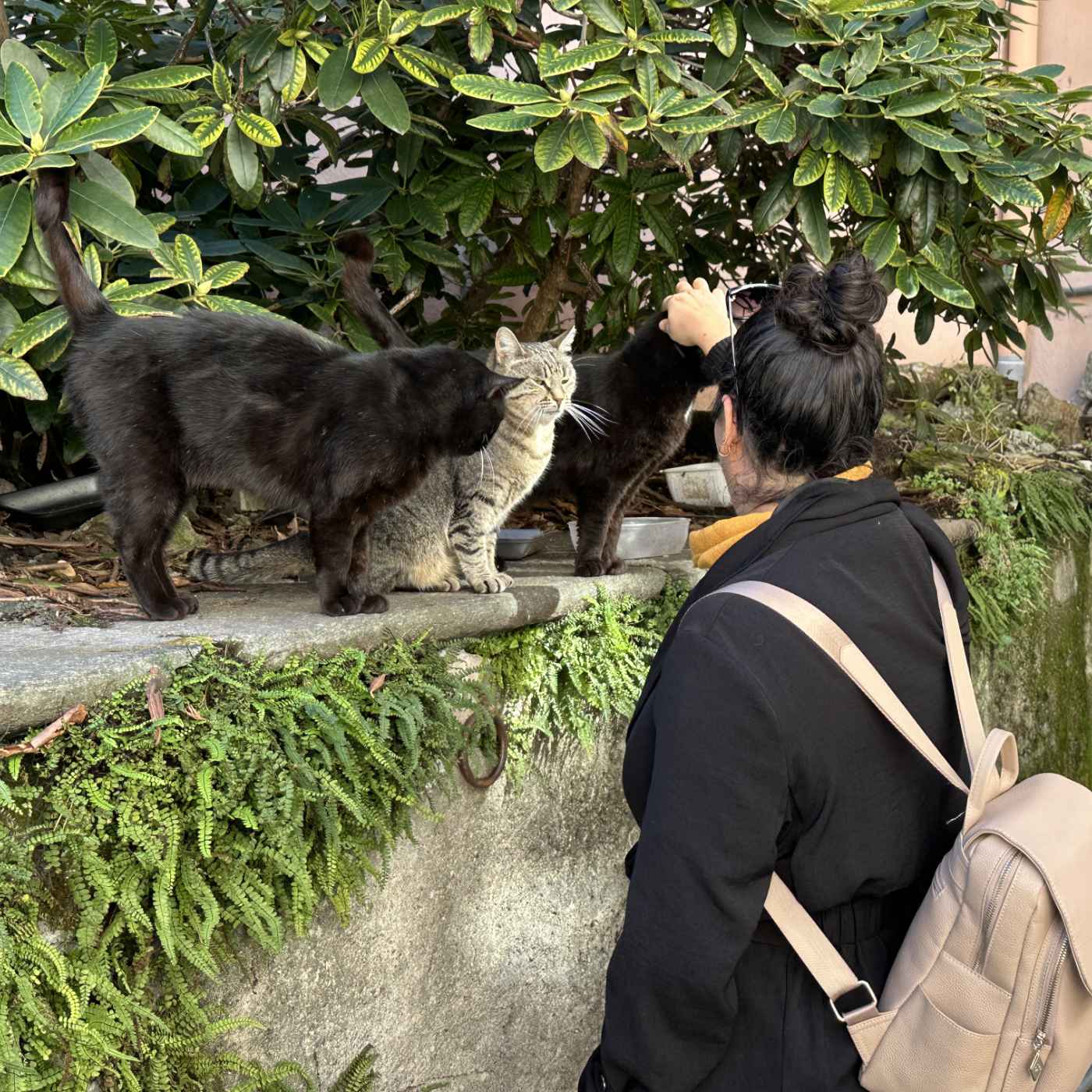 Rencontre à Conflans