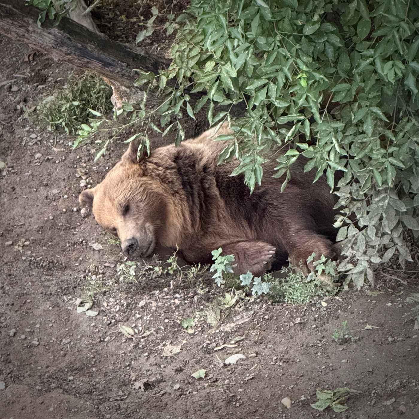 En prévision de l&rsquo;hiver
