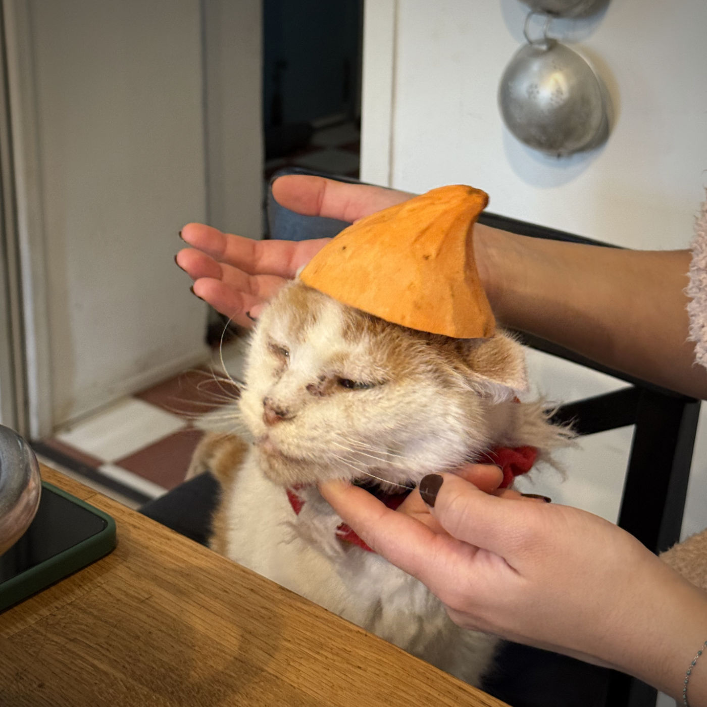 Qu&rsquo;il est beau, Roméo…