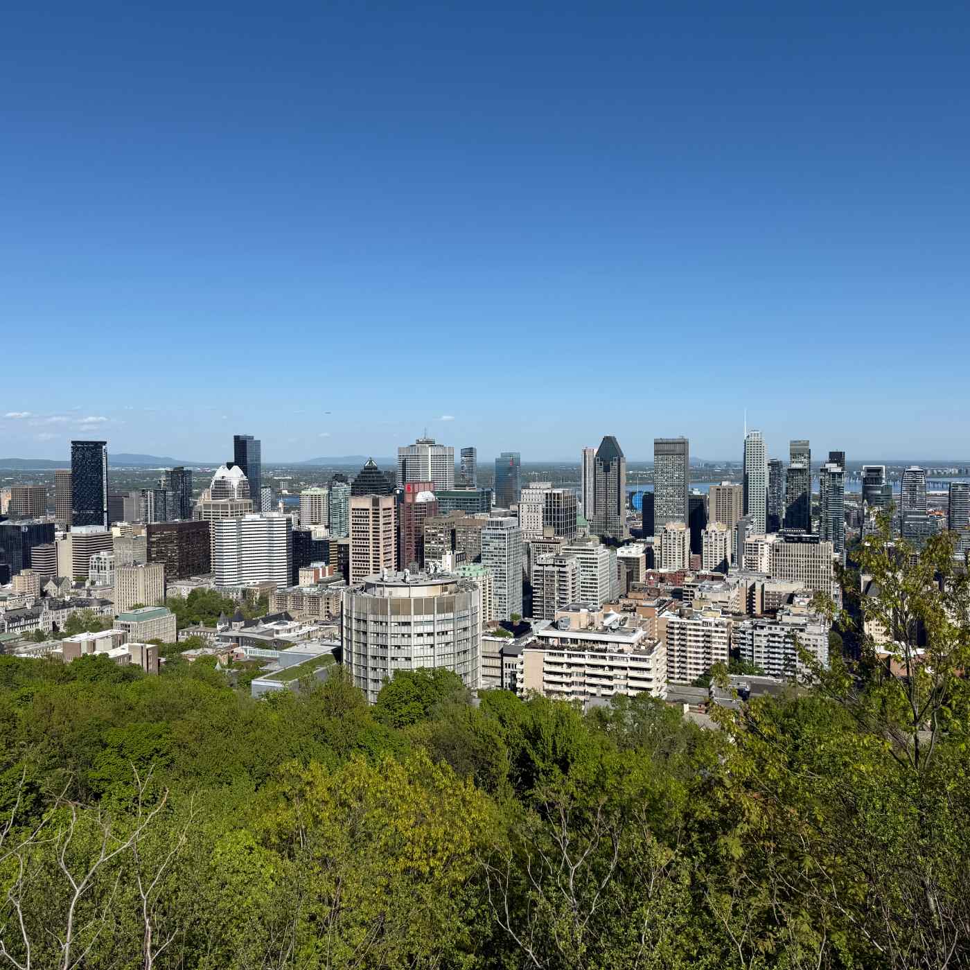Retour sur le Mont Royal