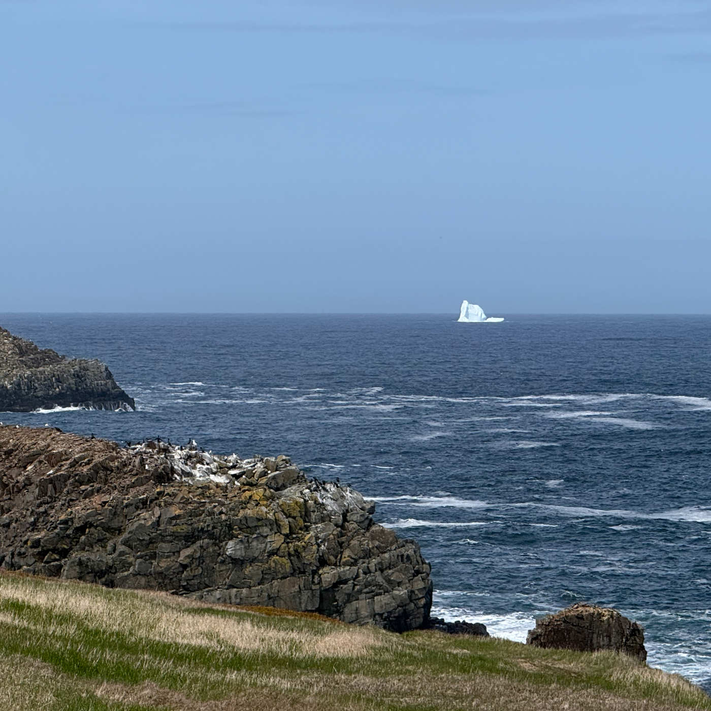 Iceberg droit devant