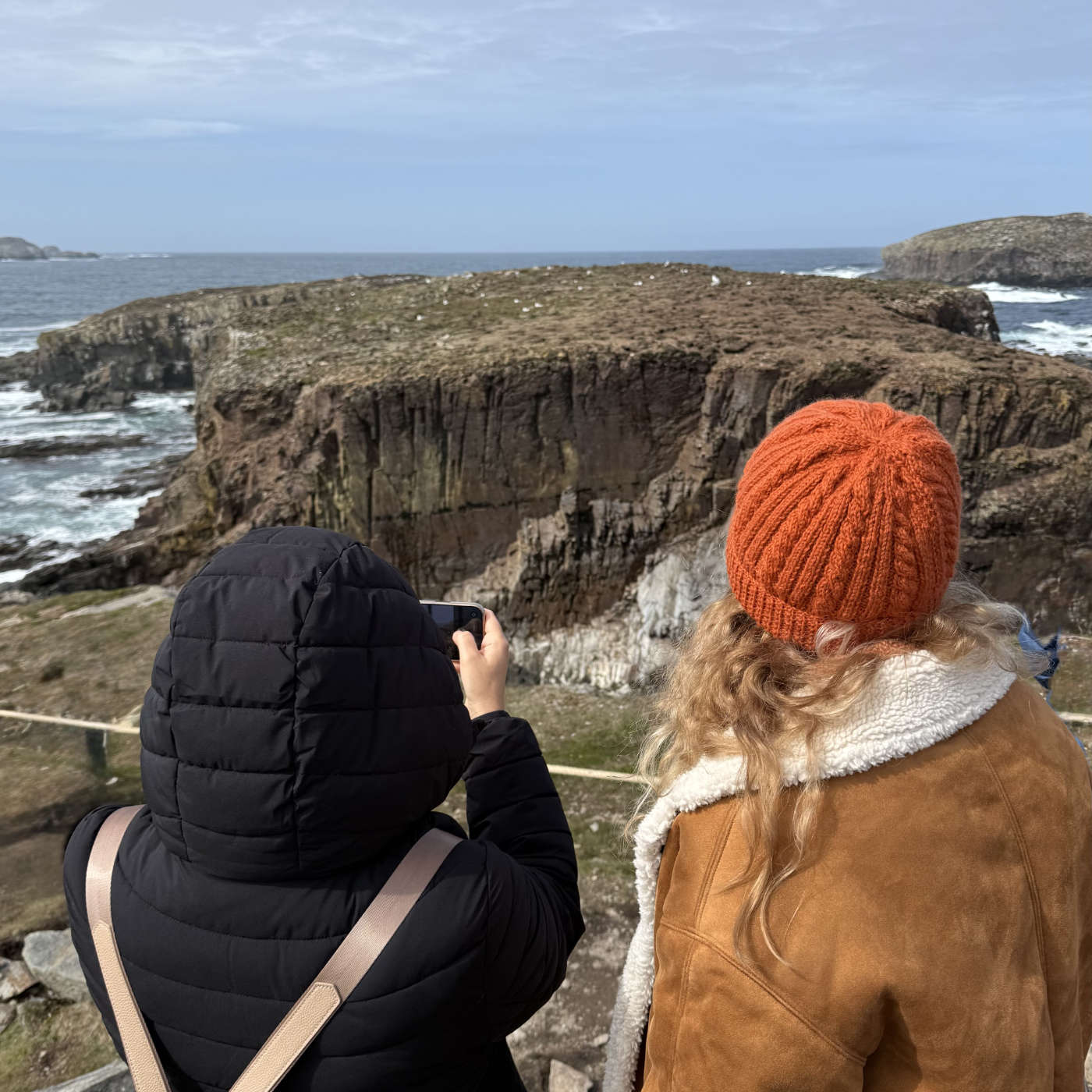 Puffins&rsquo; show