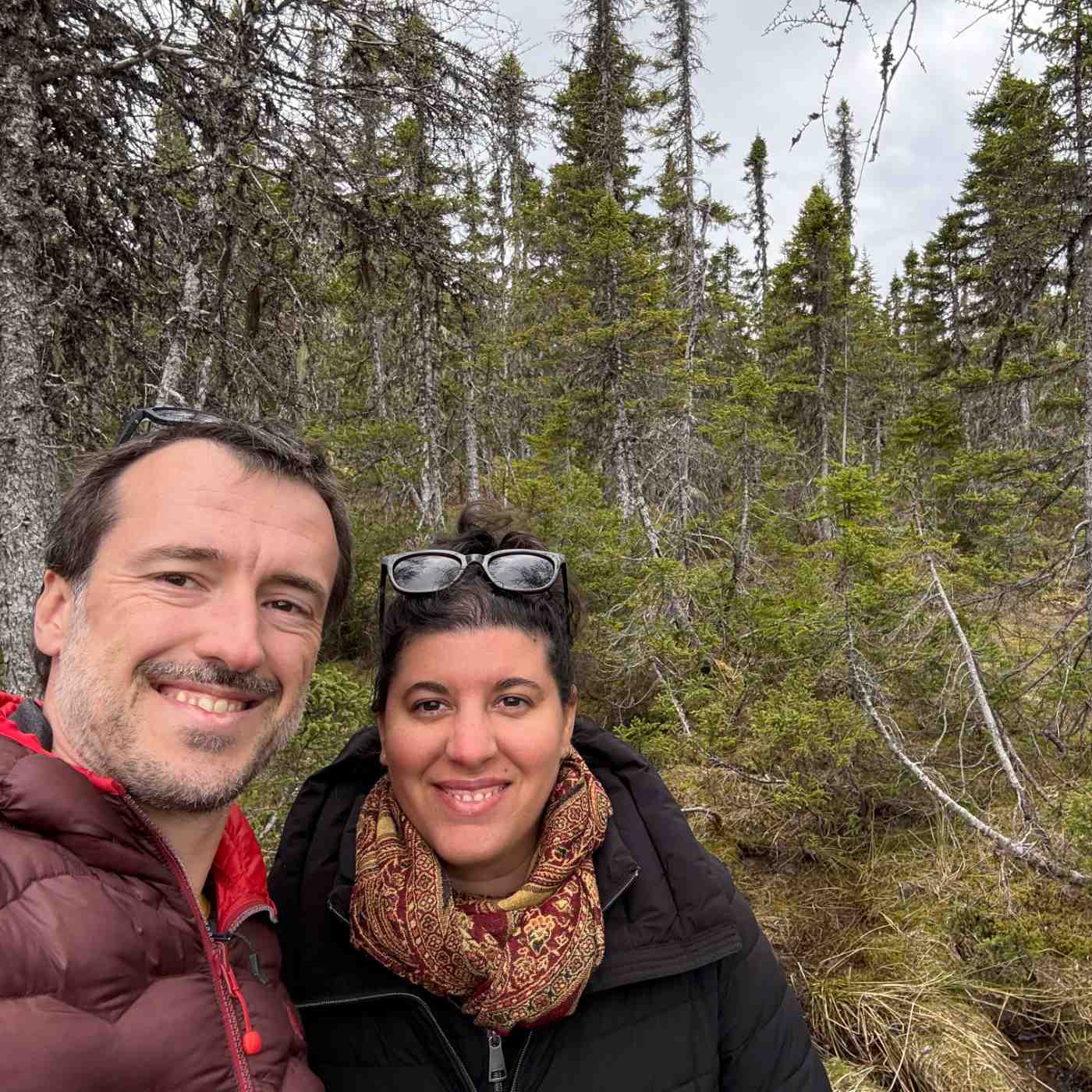 Sur les traces du moose
