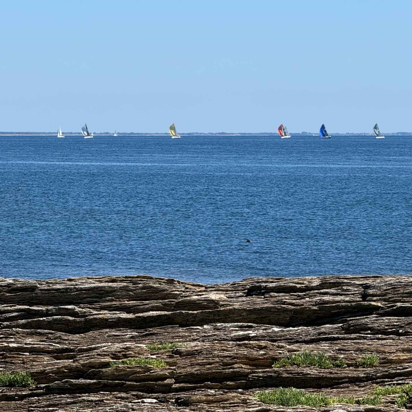 Les cailloux, l&rsquo;océan, le ciel et le phoque !